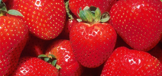 hdr-how-robots-could-save-strawberries-green-agriculture-and-feed-a-growing-population