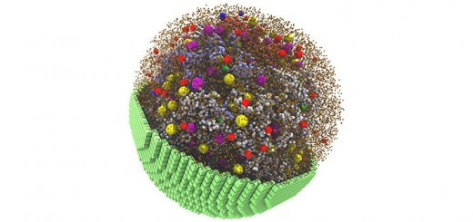 hdr-living-cell-simulation