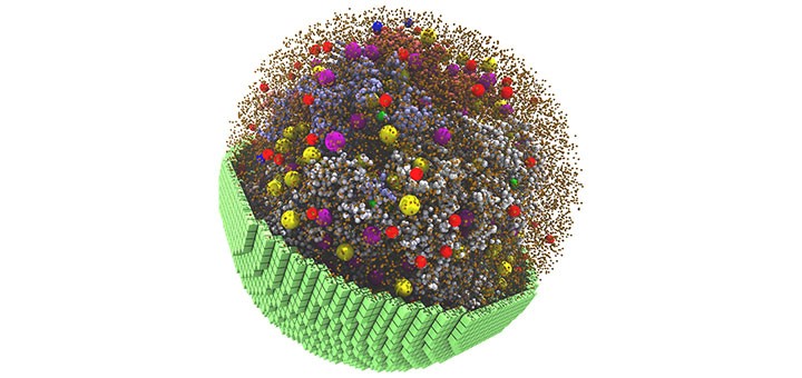 hdr-living-cell-simulation
